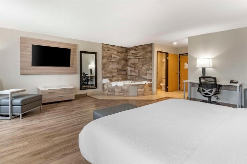 Best Western Plus Vineyard Inn - image 8