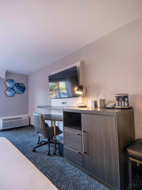 Premiere Suites - image 27