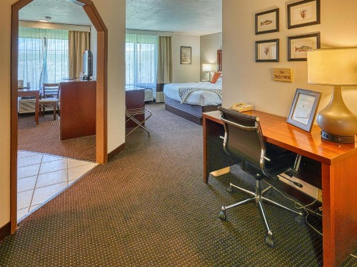 Comfort Inn Livingston - image 11