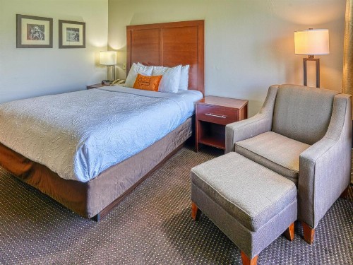 Comfort Inn Livingston - image 17
