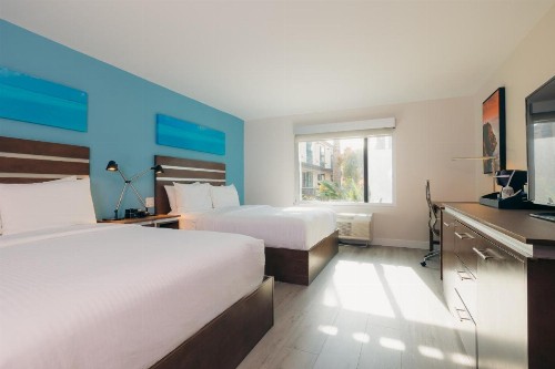 The Cove Hotel Ascend Hotel Collection - image 35