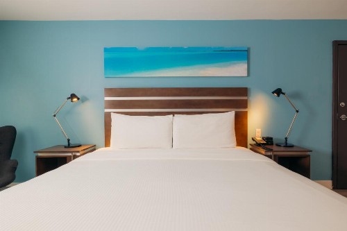 The Cove Hotel Ascend Hotel Collection - image 38