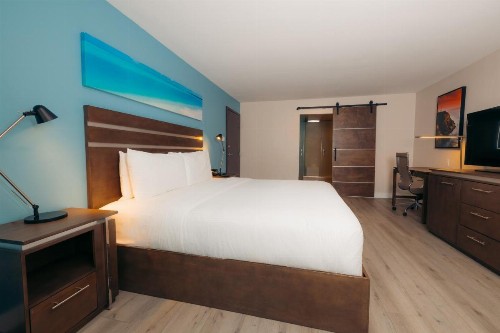 The Cove Hotel Ascend Hotel Collection - image 45