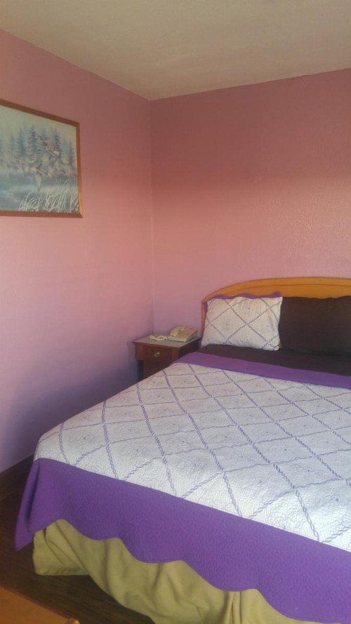 Travel Eagle Inn Motel - image 36