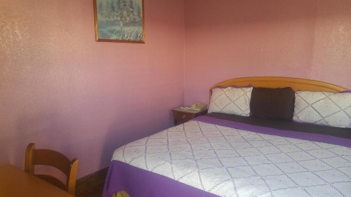 Travel Eagle Inn Motel - image 37