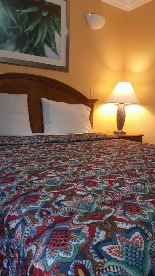 Flamingo Inn Long Beach - image 27