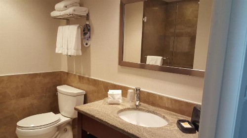 Holiday Inn Long Island City - Manhattan View - image 13