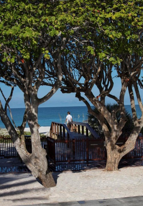 Zota Beach Resort - image 23