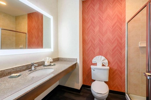 La Quinta Inn & Suites by Wyndham Longview North - image 25