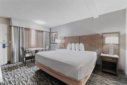 Best Western Los Alamitos Inn & Suites - image 39