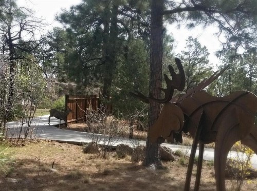 Pueblo Canyon Inn - image 12