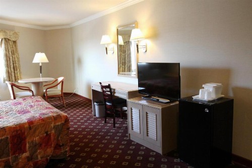Metro Plaza Hotel - image 16