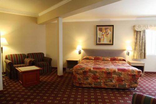 Metro Plaza Hotel - image 24