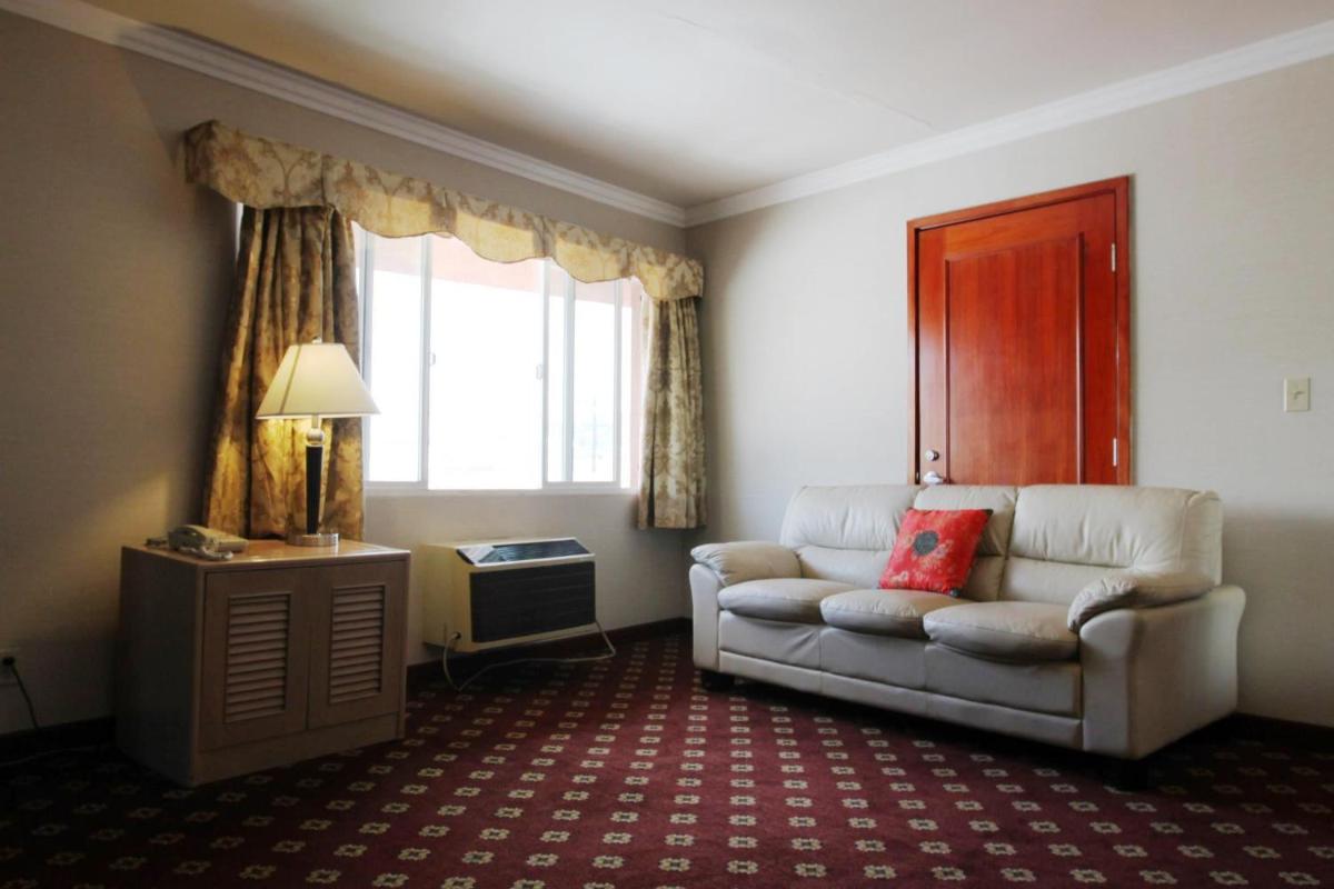 Metro Plaza Hotel - image 4