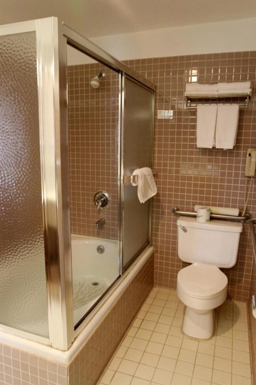 Metro Plaza Hotel - image 6