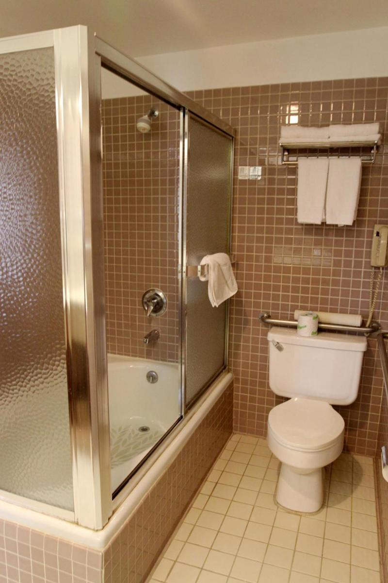 Metro Plaza Hotel - image 6