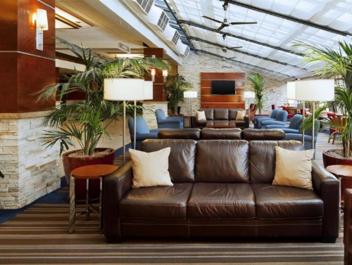 Four Points by Sheraton Los Angeles International Airport - image 11