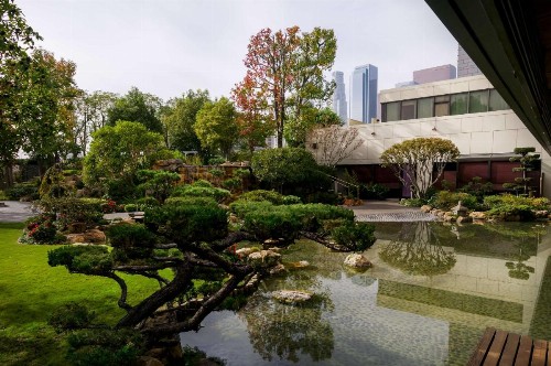 Doubletree by Hilton Los Angeles Downtown - image 9
