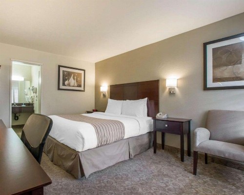Rodeway Inn Los Angeles Convention Center - image 15