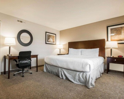 Rodeway Inn Los Angeles Convention Center - image 18