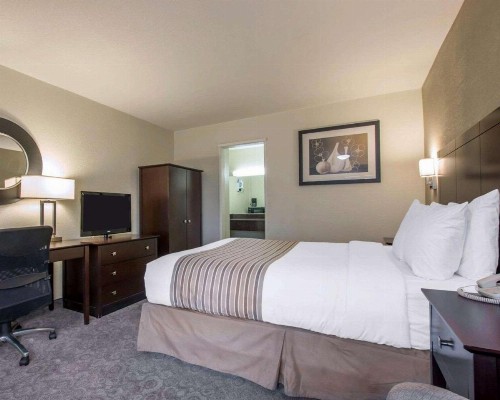 Rodeway Inn Los Angeles Convention Center - image 7