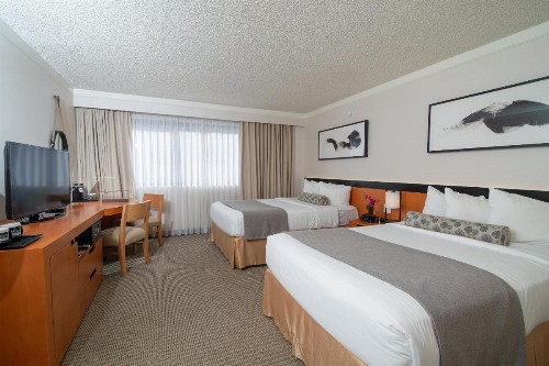Miyako Hotel Los Angeles - image 7
