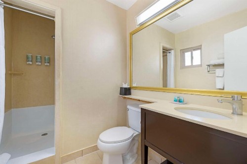 Best Western Royal Palace Inn & Suites - image 15