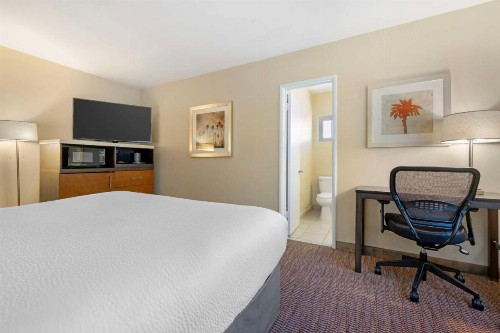 Best Western Royal Palace Inn & Suites - image 26