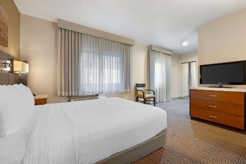 Best Western Royal Palace Inn & Suites - image 29