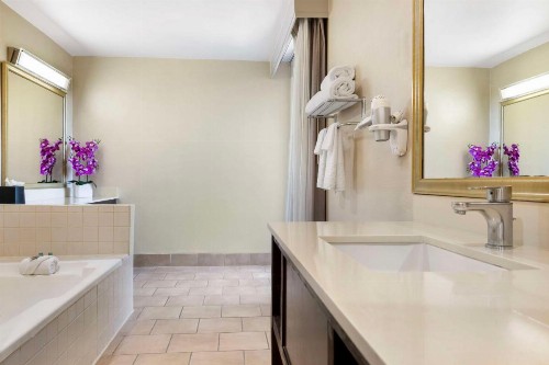 Best Western Royal Palace Inn & Suites - image 30