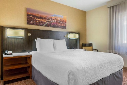 Best Western Royal Palace Inn & Suites - image 33