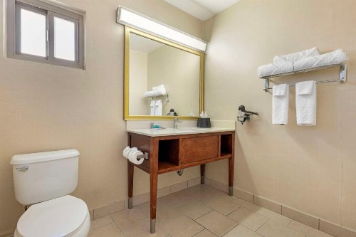 Best Western Royal Palace Inn & Suites - image 44