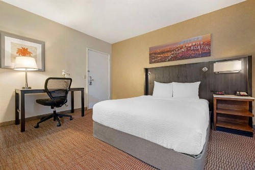 Best Western Royal Palace Inn & Suites - image 50