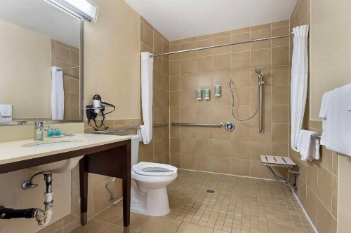 Best Western Royal Palace Inn & Suites - image 7