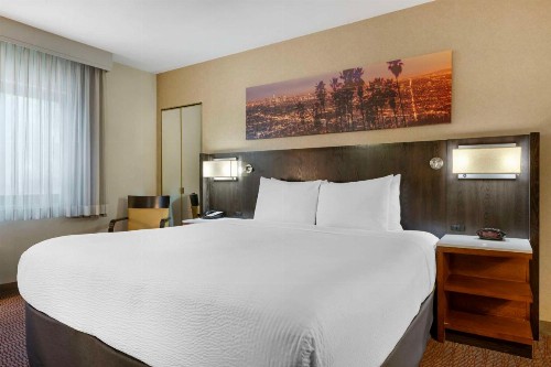 Best Western Royal Palace Inn & Suites - image 8