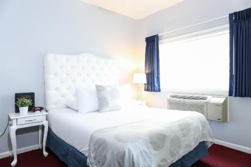 The Hotel Hollywood - image 4