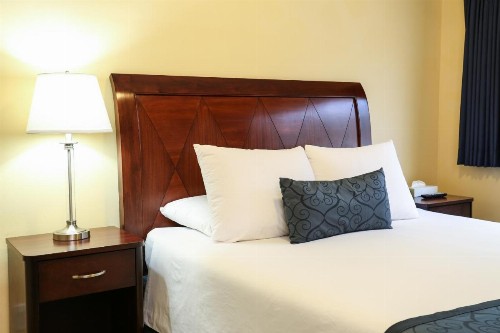 The Hotel Hollywood - image 9