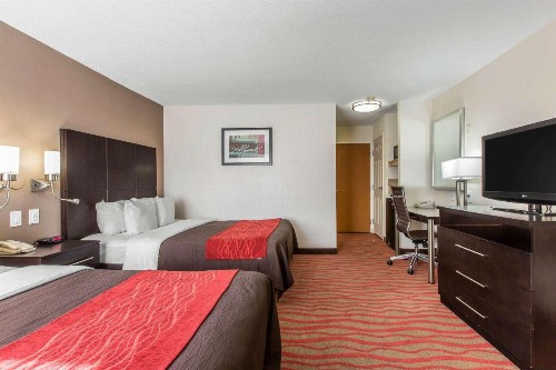 Comfort Inn Los Angeles near Hollywood - image 13