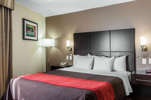 Comfort Inn Los Angeles near Hollywood - image 23
