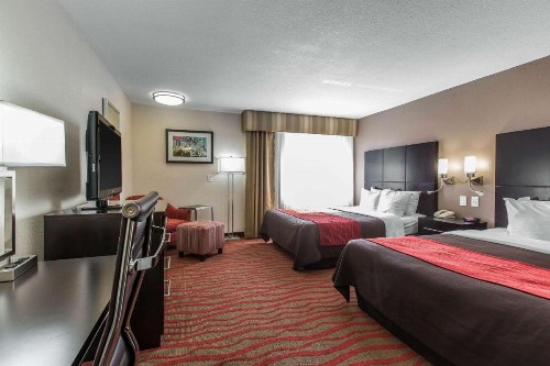 Comfort Inn Los Angeles near Hollywood - image 24