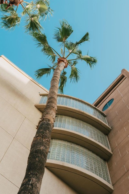 Courtyard by Marriott Los Angeles LAX / Century Boulevard - image 9