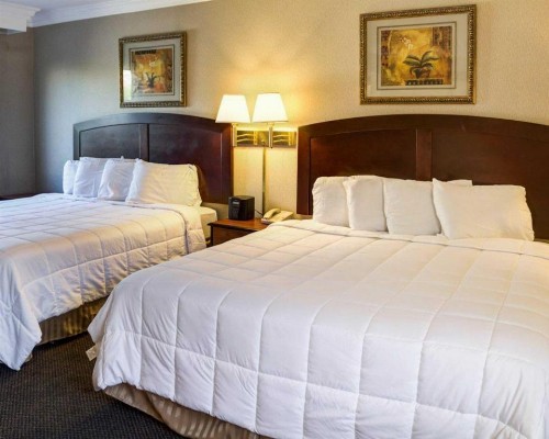 Rodeway Inn Near Venice Beach - image 36
