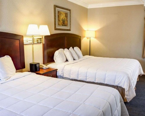 Rodeway Inn Near Venice Beach - image 49