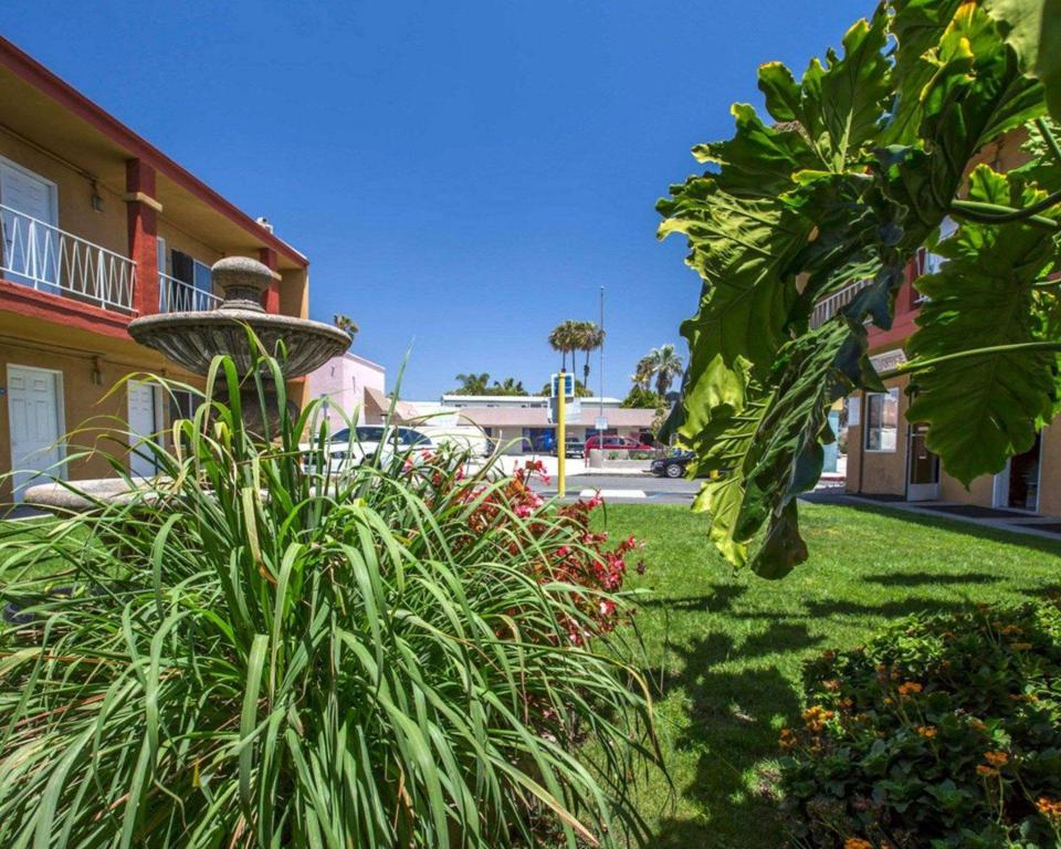 Rodeway Inn Near Venice Beach - image 6