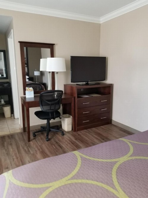 Super 8 by Wyndham Los Angeles-Culver City Area - image 11