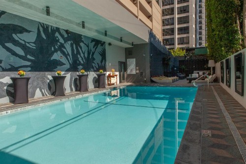 Kimpton Hotel Palomar Los Angeles Beverly Hills an IHG Hotel - image 40