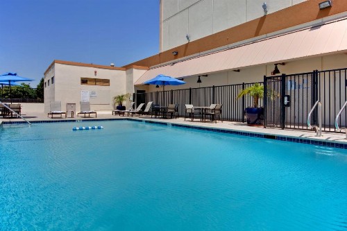 Holiday Inn Los Angeles - LAX Airport an IHG Hotel - image 21