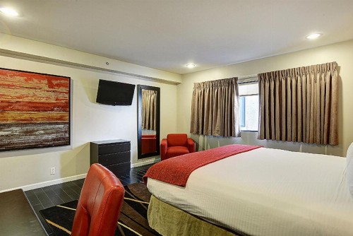 Shelter Hotel Los Angeles - image 5