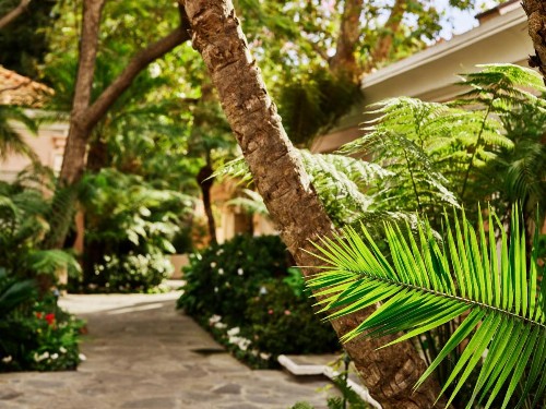 Hotel Bel-Air - Dorchester Collection - image 18