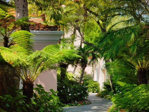 Hotel Bel-Air - Dorchester Collection - image 19